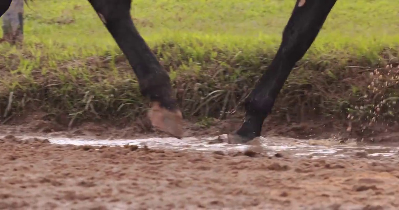 马术运动，骑师骑着马在沙地上奔跑视频下载