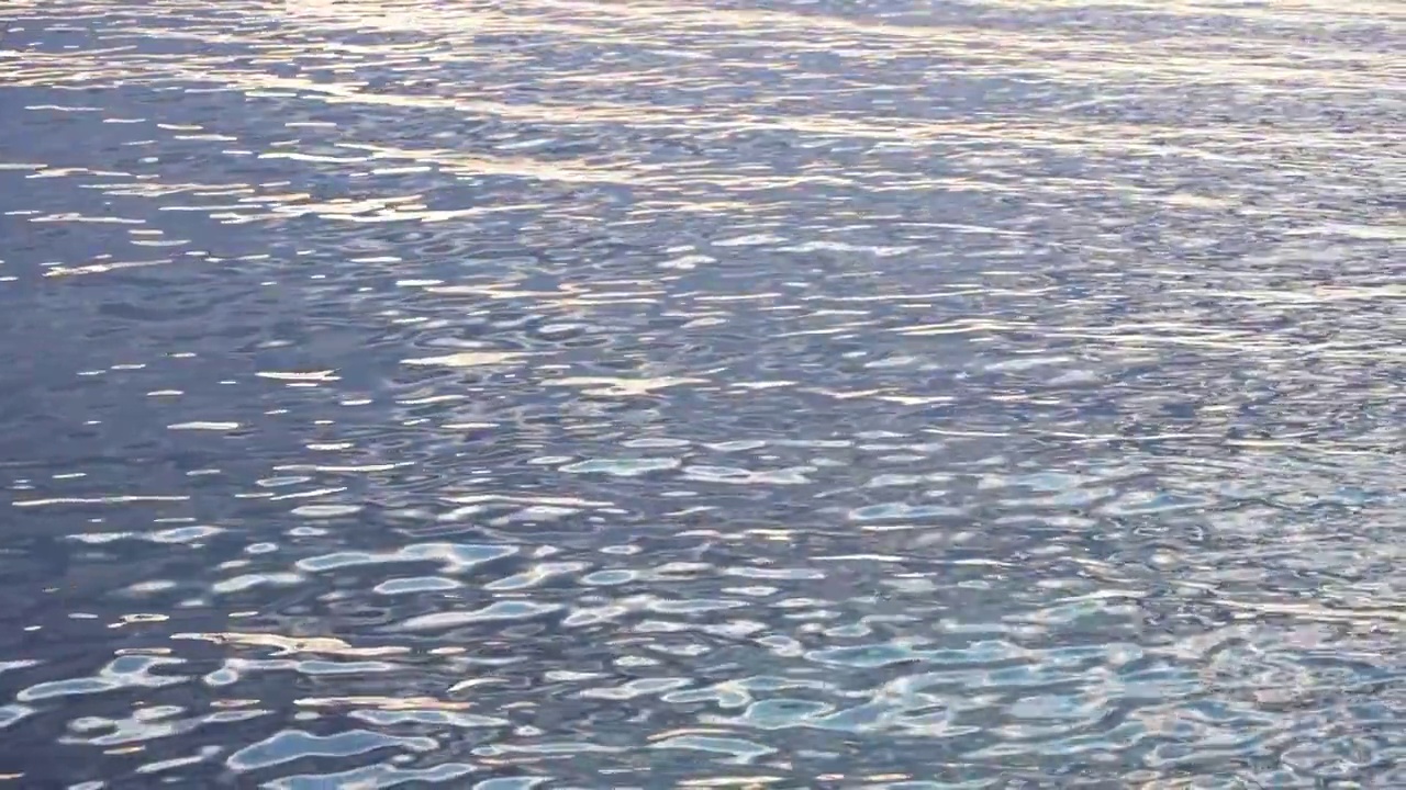 日内瓦湖蒙特勒市水边倒影视频素材
