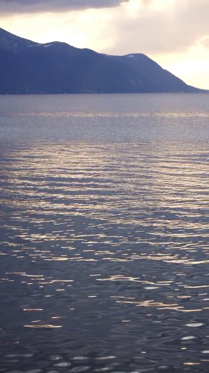 日内瓦湖蒙特勒市水边倒影视频下载