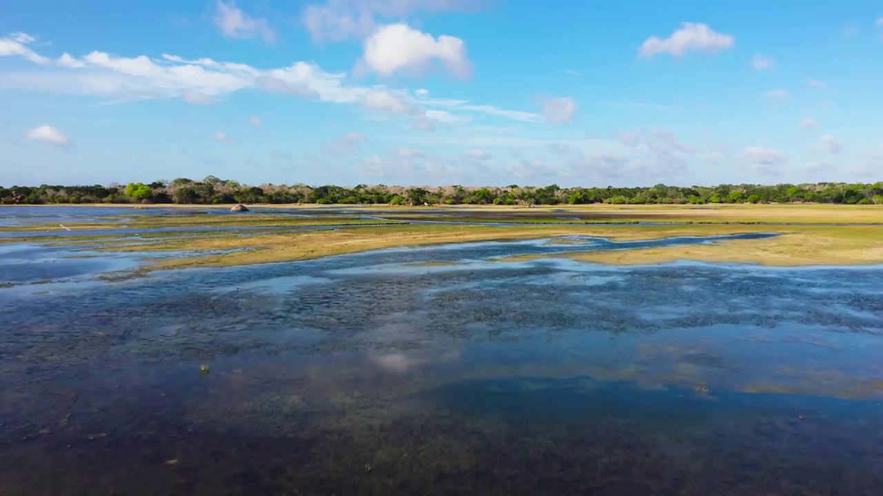 带湖的热带景观。斯里兰卡视频素材
