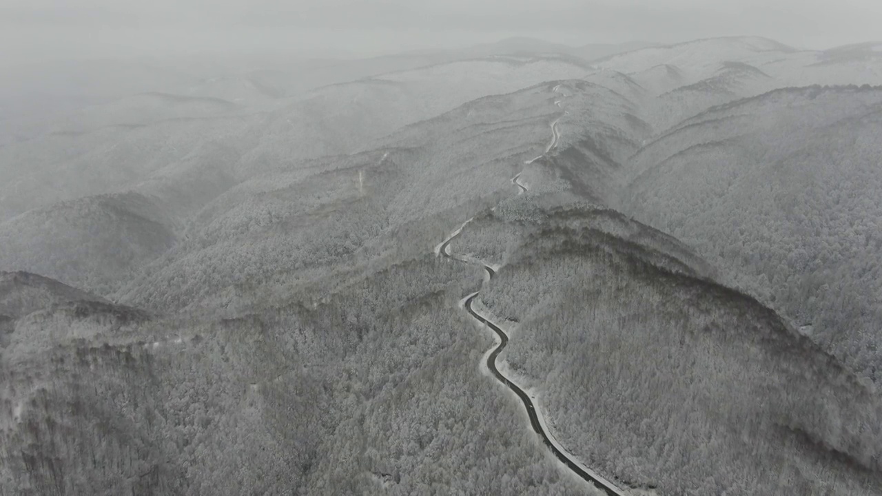 4K冬季道路鸟瞰图视频素材