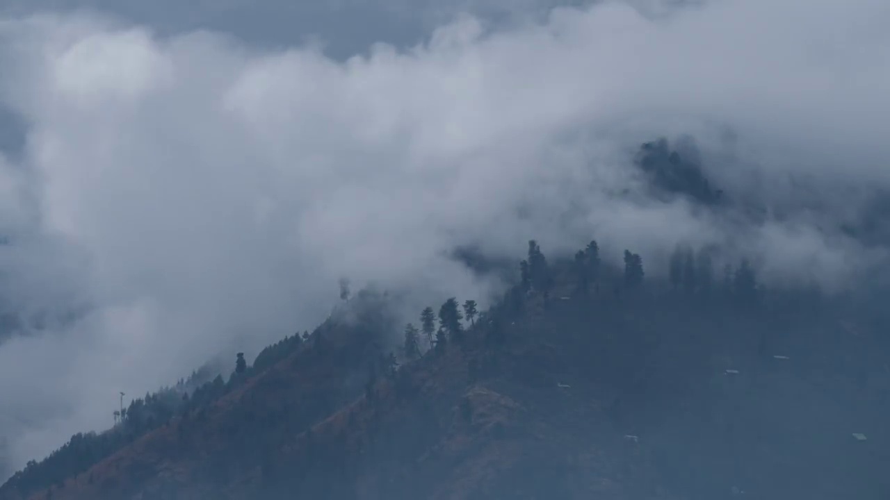 当太阳间歇地照耀在雾和风景上时，雾在松树间穿行视频下载