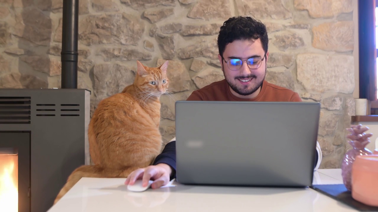 年轻人在家工作，还养了只猫视频素材