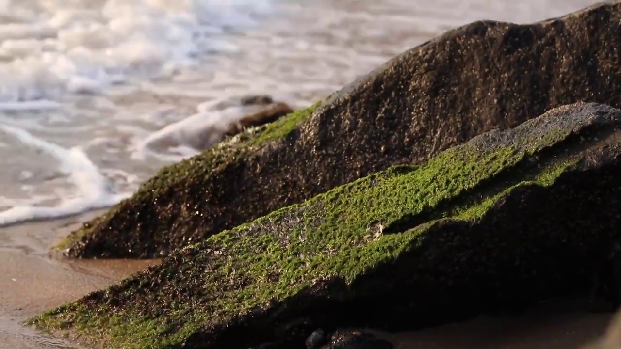 海滩上的岩石视频素材