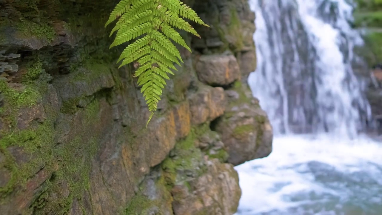 在夏季的森林里，山河上的瀑布，白色的泡沫水从岩石中落下视频素材