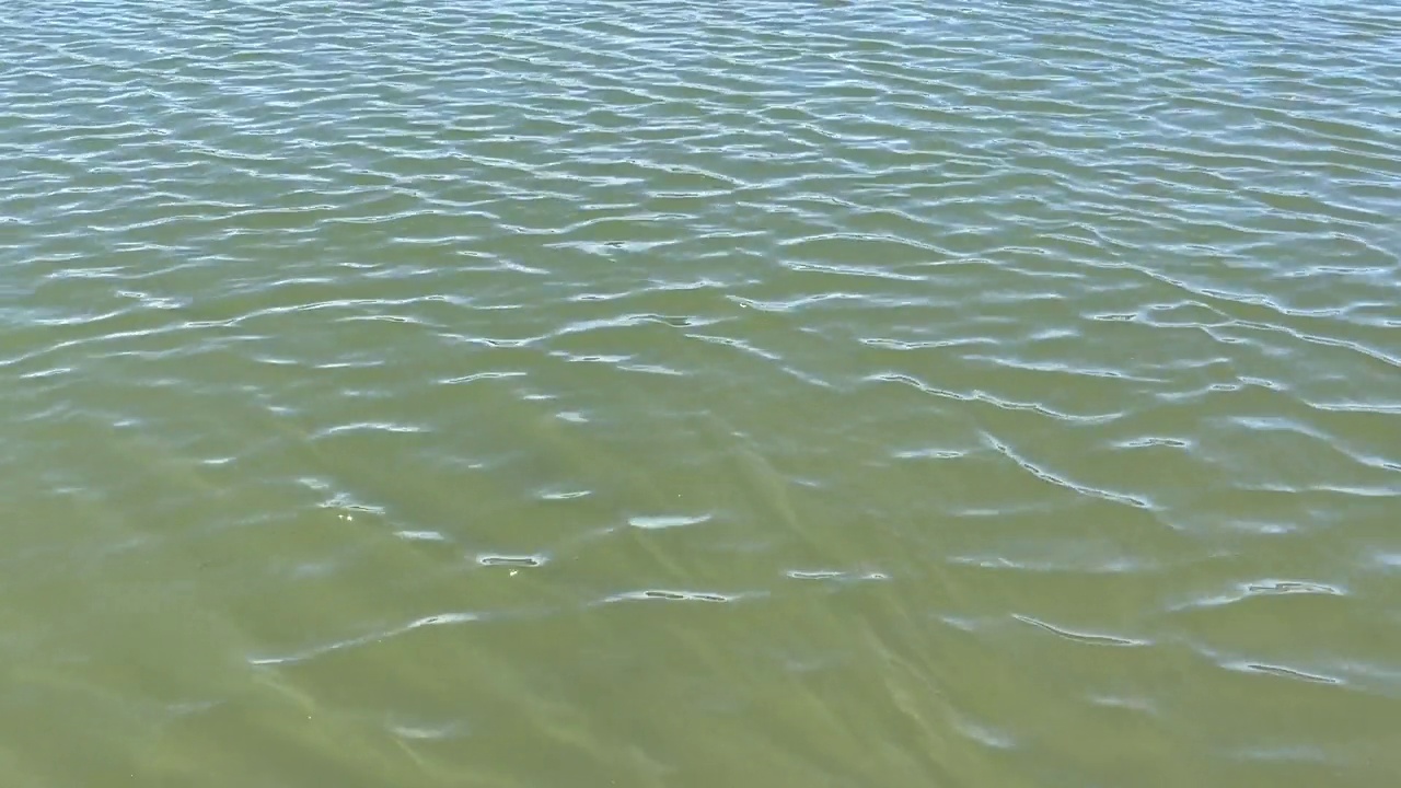 碧绿碧蓝的海洋海水荡漾的波浪移动的运动视频视频素材