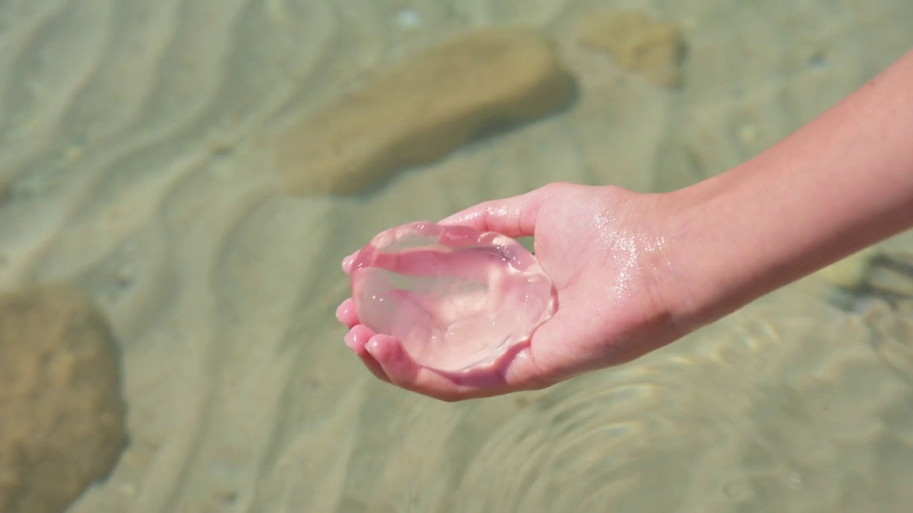 一个孩子的手从海水中拉出一只小水母视频下载