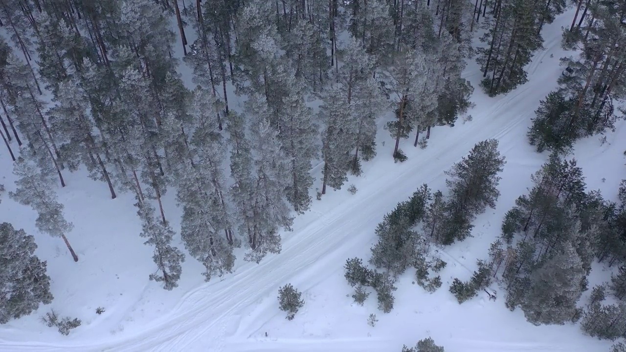 从无人机鸟瞰图上的汽车驾驶通过积雪覆盖的冬季松树林。松树的树枝上结满了霜视频素材