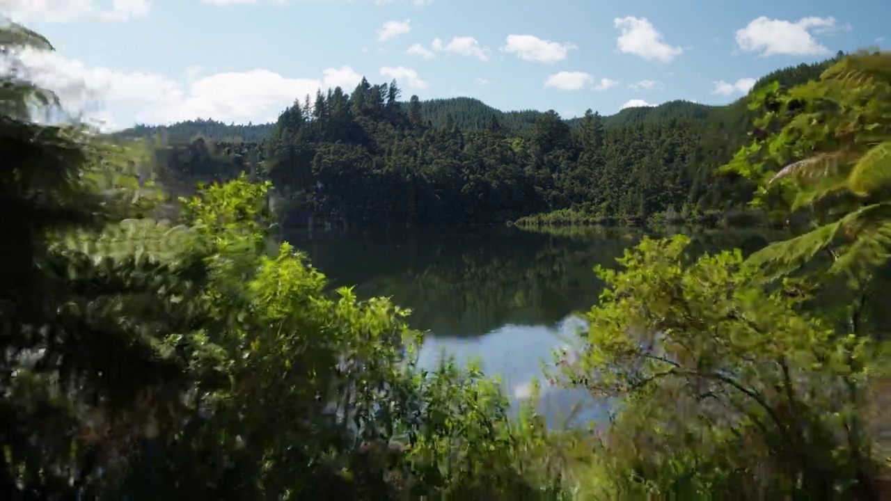 WS空中推过湖面上的灌木。视频下载