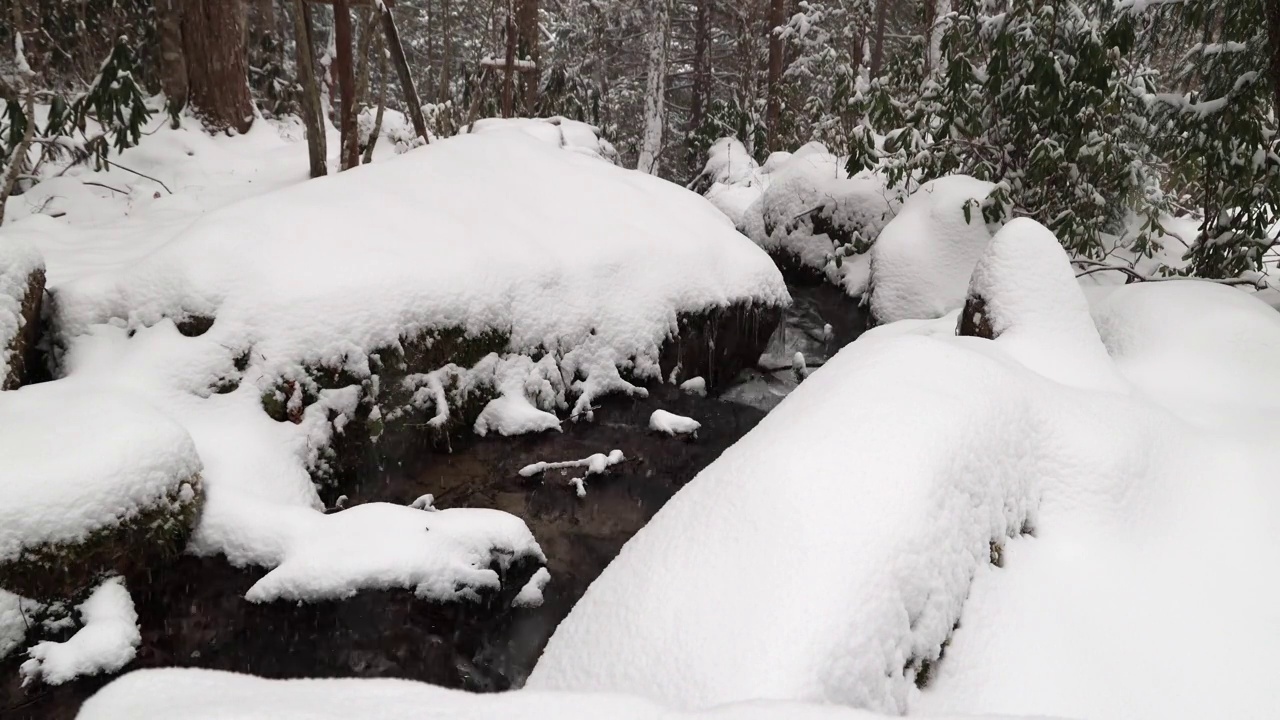 山路和山上的美丽的新雪在低语视频素材