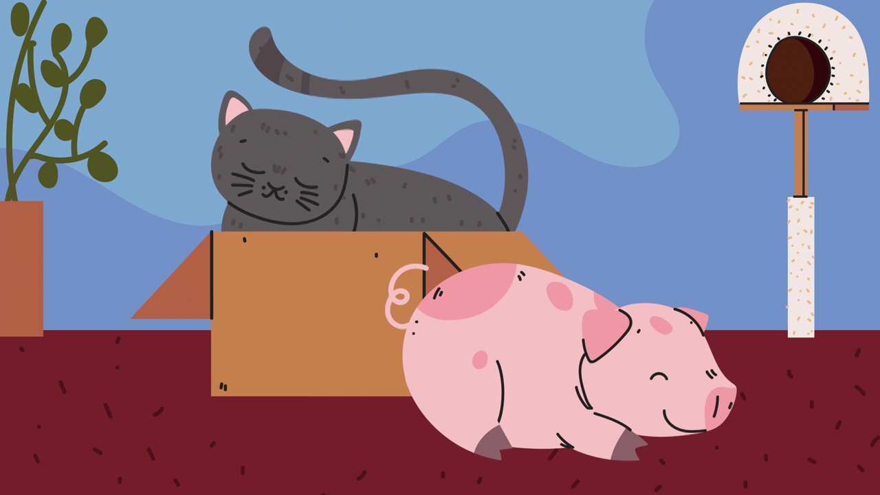 猪和猫的吉祥物动画视频下载