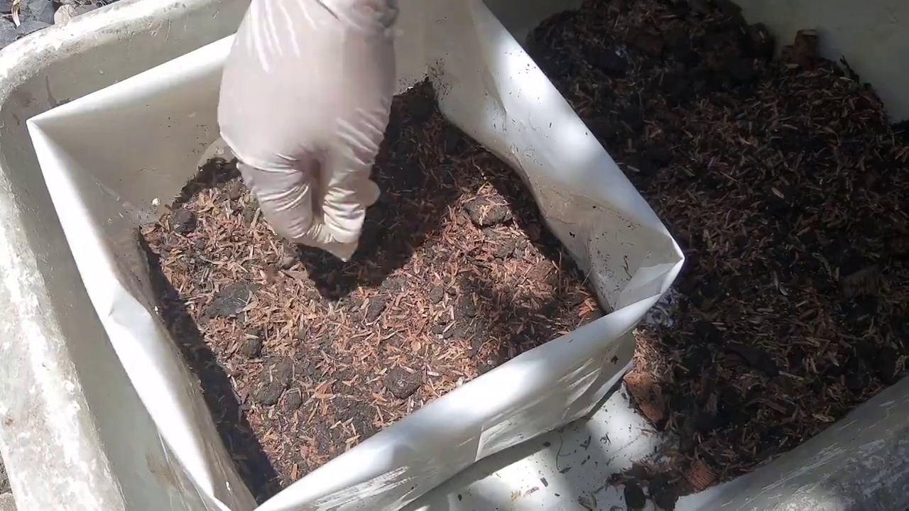 园丁将土壤倒入种植袋视频素材