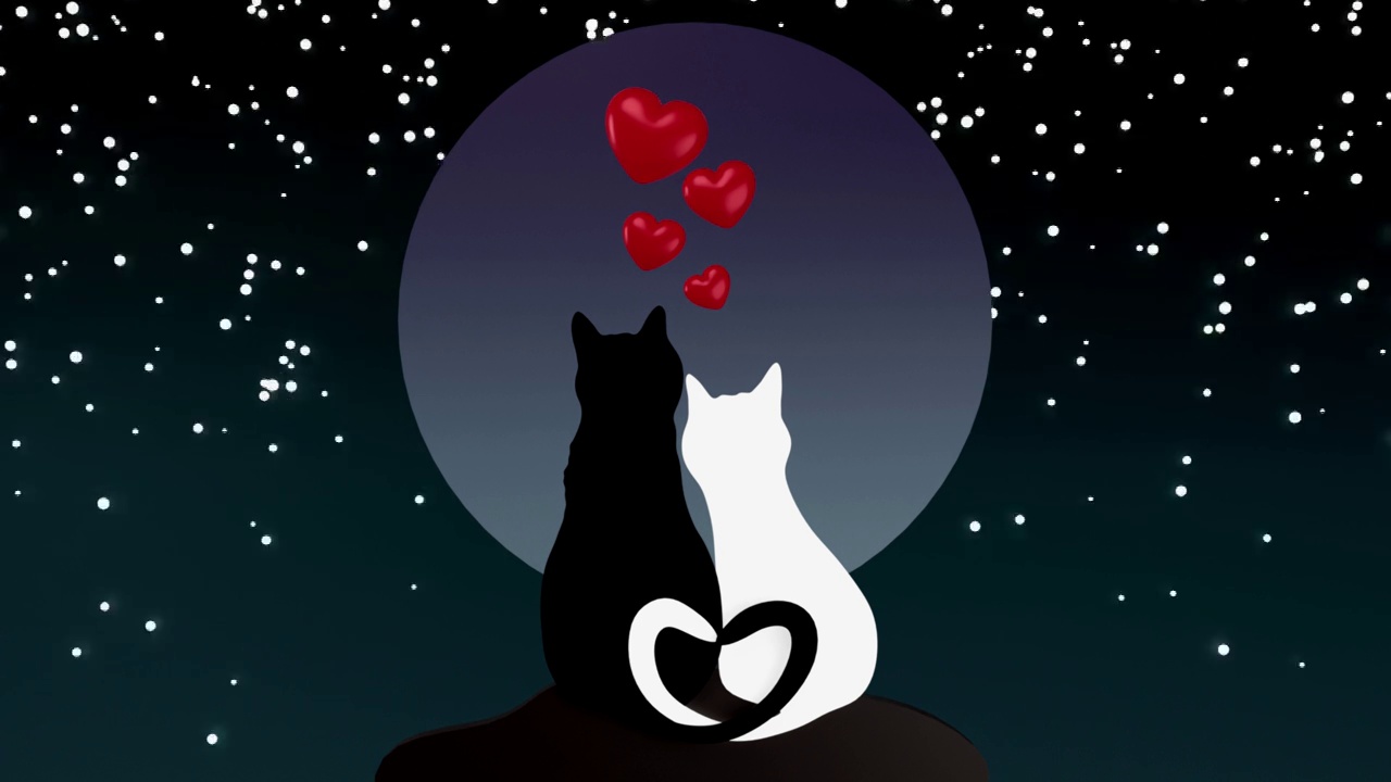 情人节贺卡背景，两只猫在爱的月亮在4K分辨率视频下载