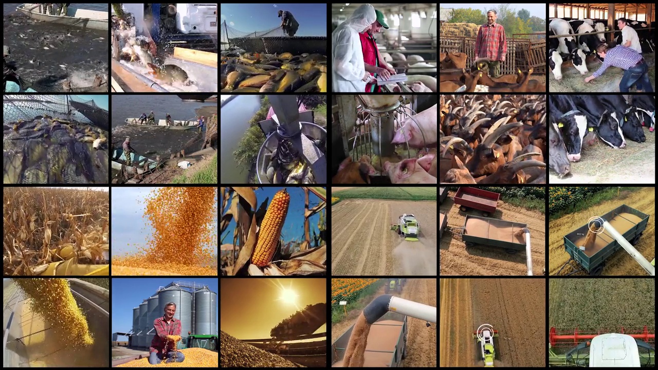 农业生产、产量和生产力视频素材