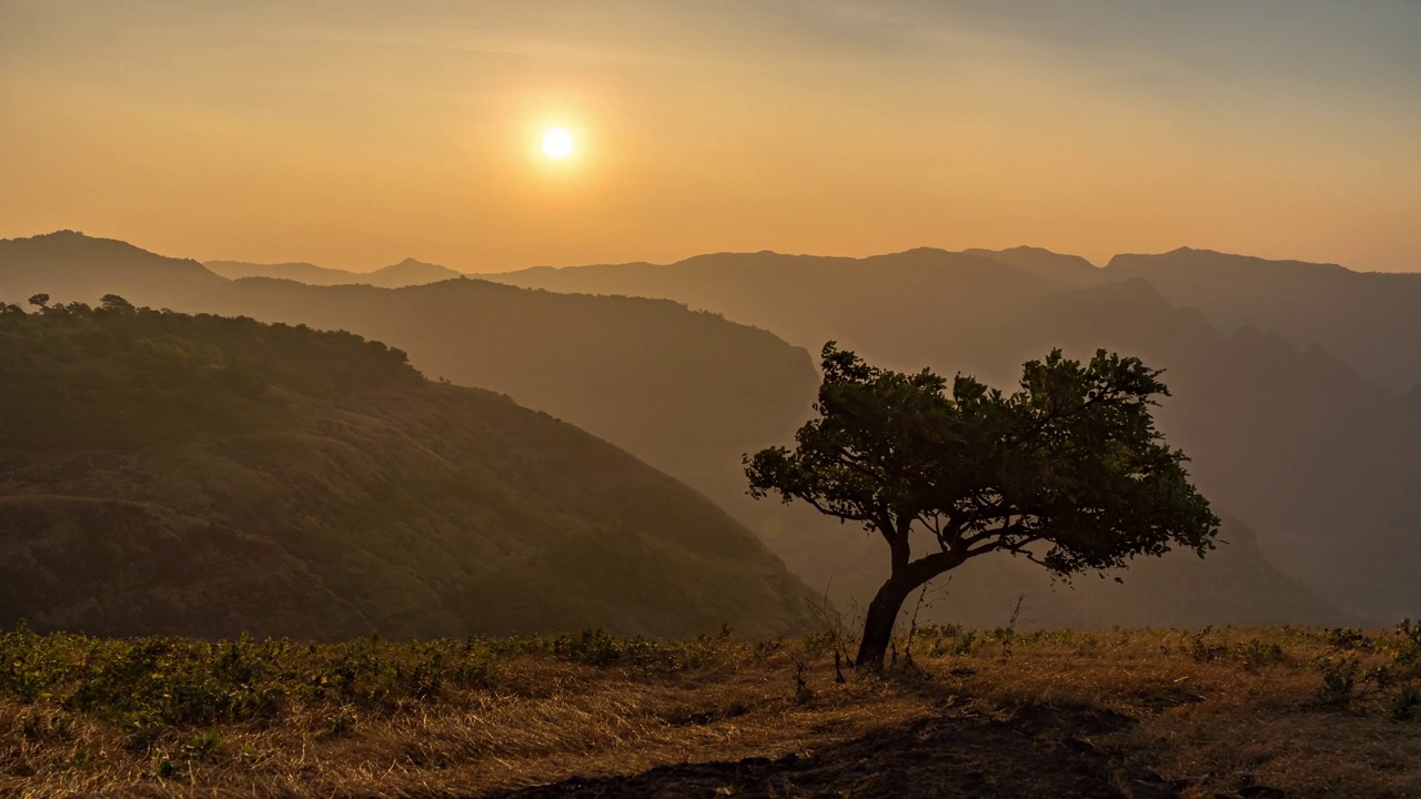 印度马哈拉施特拉邦，Sahyadri山脉和一棵孤独的树的山脊上美丽的早晨和日出视频下载