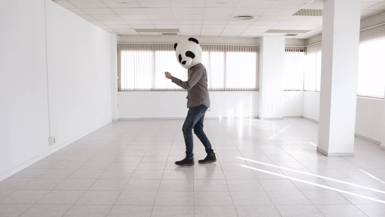 一个戴着熊猫面具的快乐男子在一间空无一人的新办公室里跳舞视频素材