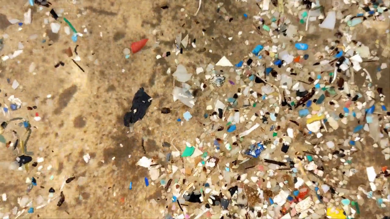 在100%的水样和海洋生物中都发现了微塑料颗粒。视频下载