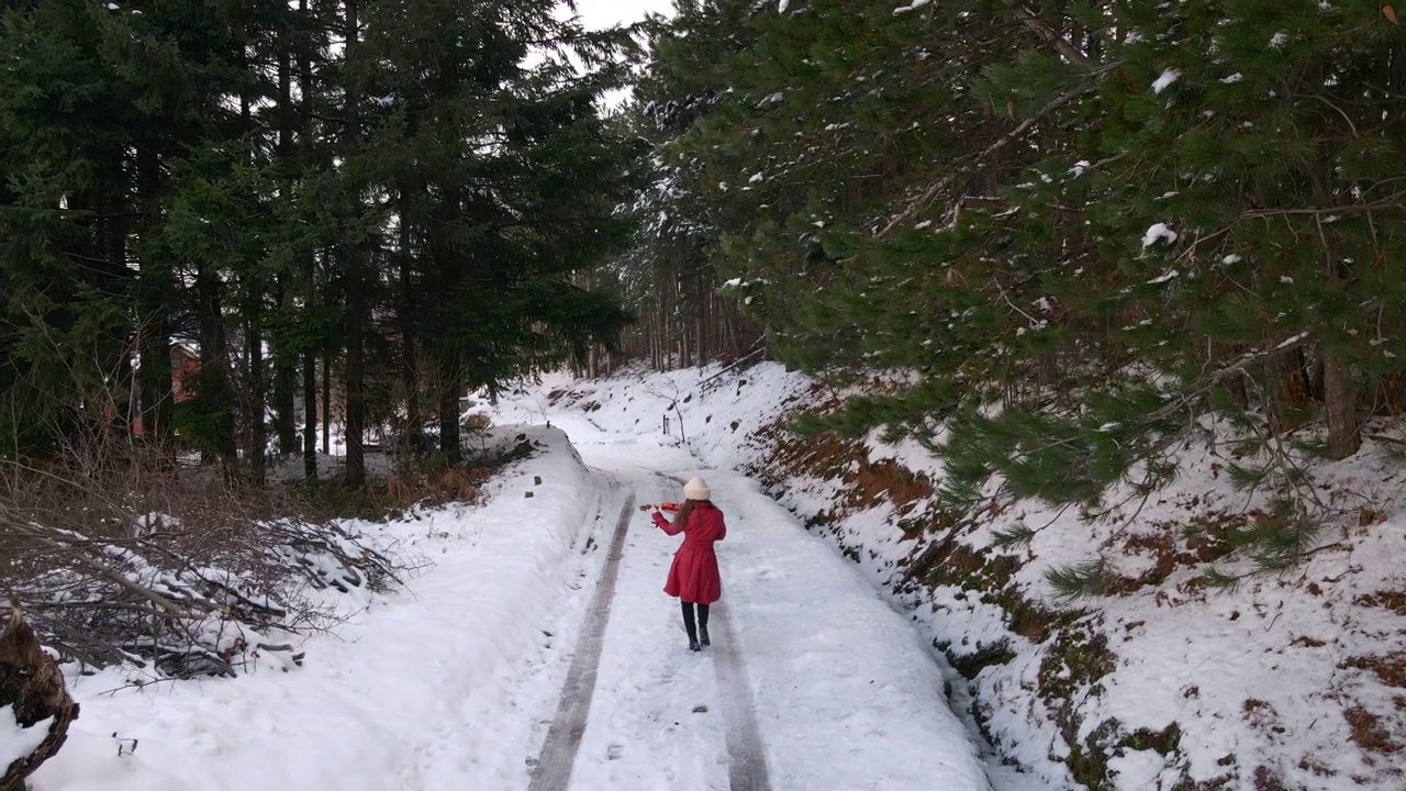 一个女人在冰冻的森林里拉小提琴视频素材