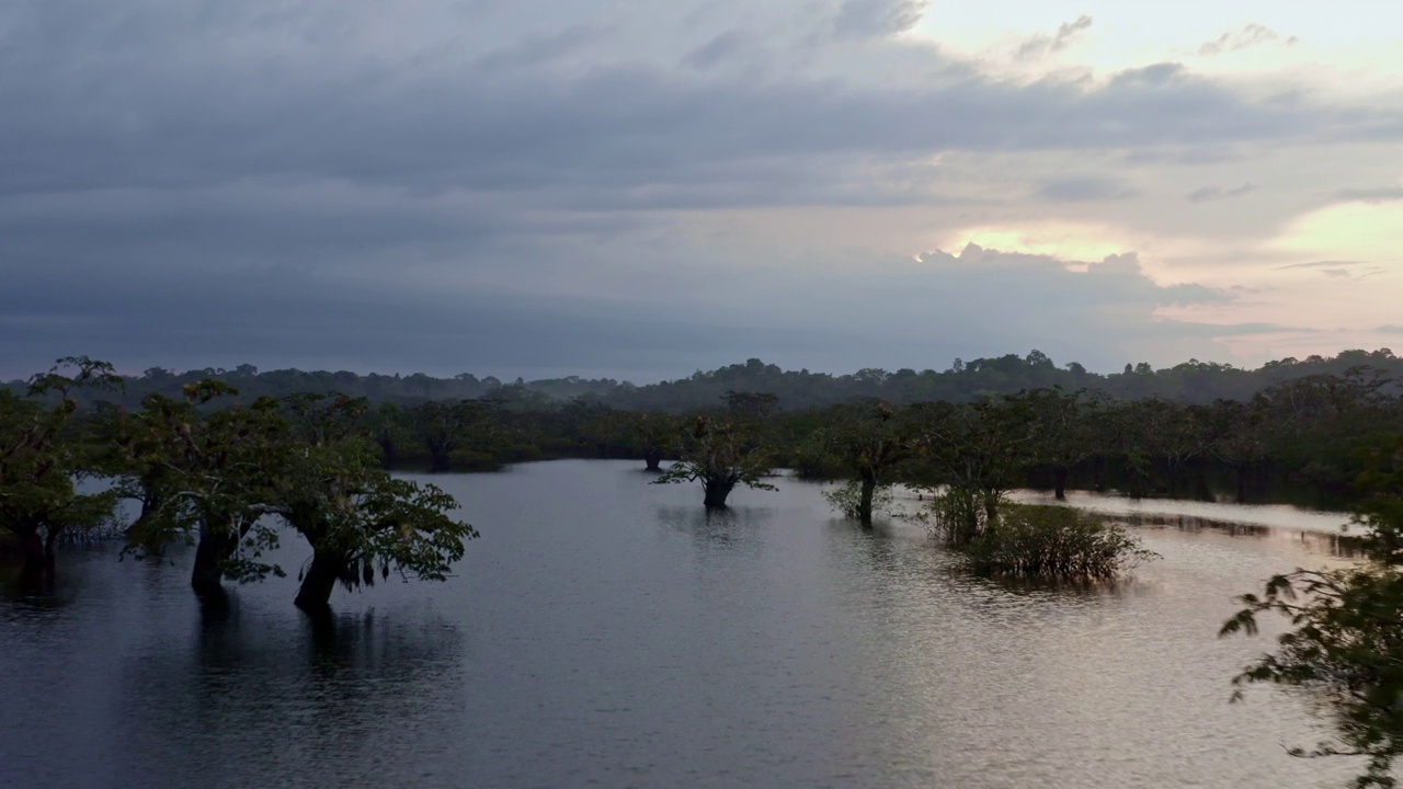 自然背景，在日落时分飞越热带森林中的湖泊视频素材