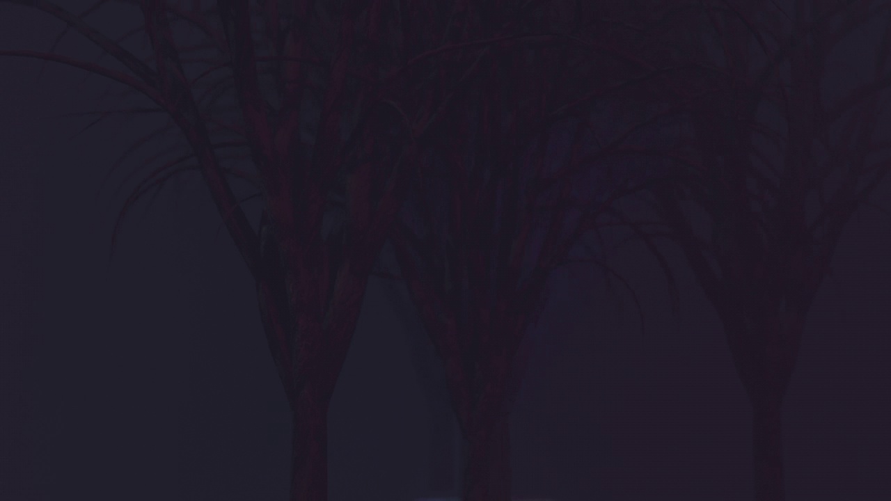 幽灵般的黑暗森林在夜晚的月光下视频素材
