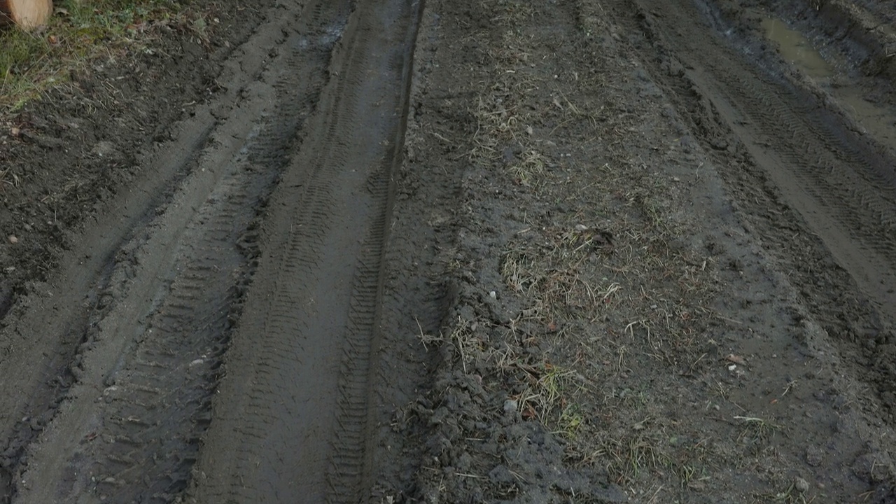 爱沙尼亚森林中泥泞的道路视频素材