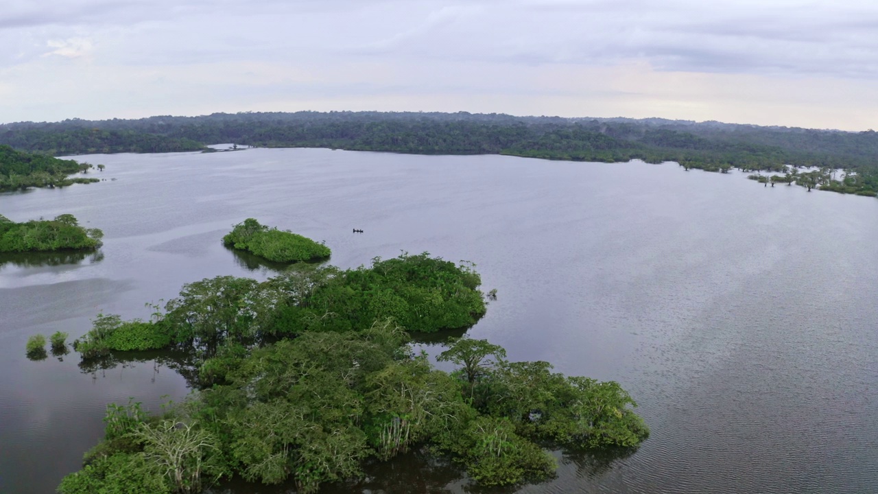 在库亚贝诺的亚马逊热带森林的一个泻湖上，靠近一只独木舟视频素材