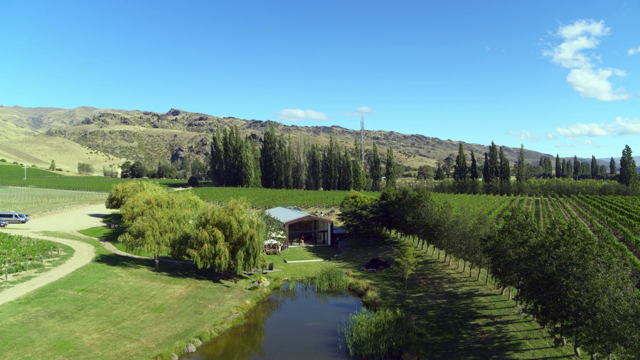 阳光明媚的一天，新西兰克伦威尔，在一个被郁郁葱葱的绿色葡萄园和田地包围的棚子里，空中淘金工人视频下载