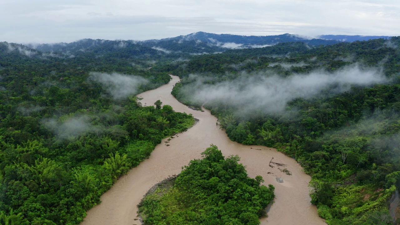 森林中热带河流的自然背景，树冠上有雾视频素材