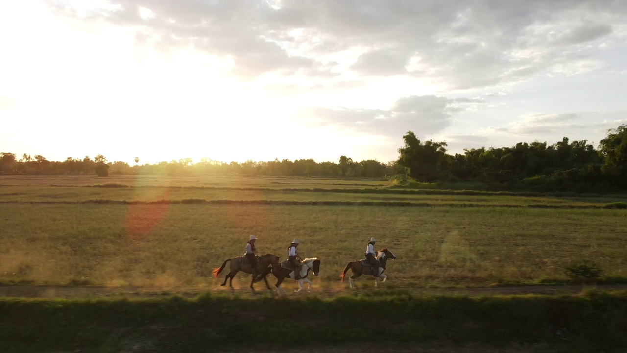 牛仔在草地上骑马奔跑的鸟瞰图视频素材