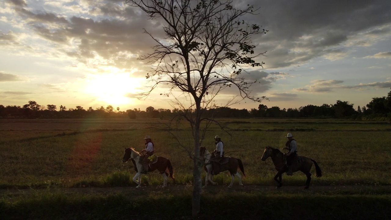 4K牛仔在日落时分的草地上骑马视频下载
