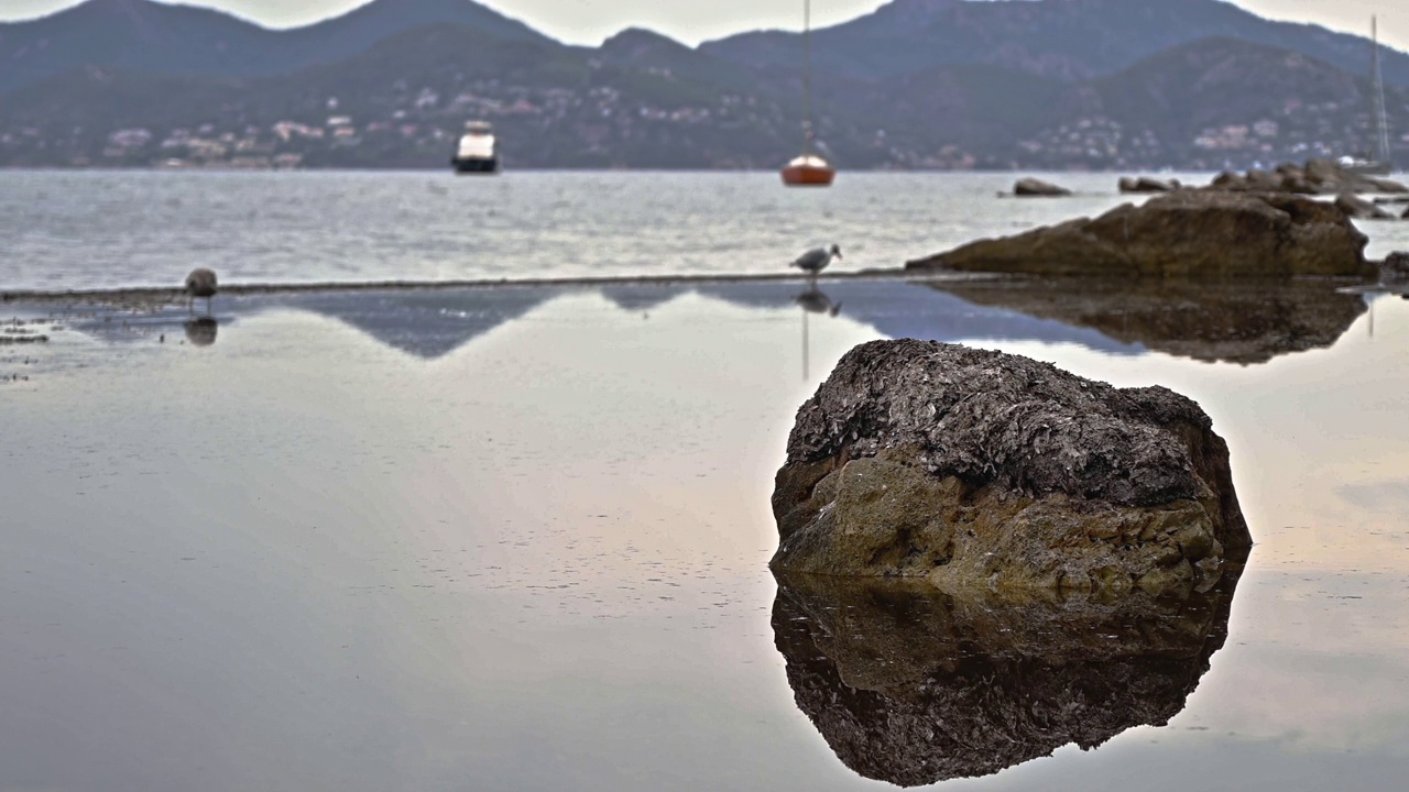 在地中海沿岸的圣玛格丽特岛，可以看到岩石，海鸥，远处的小船，法国视频素材