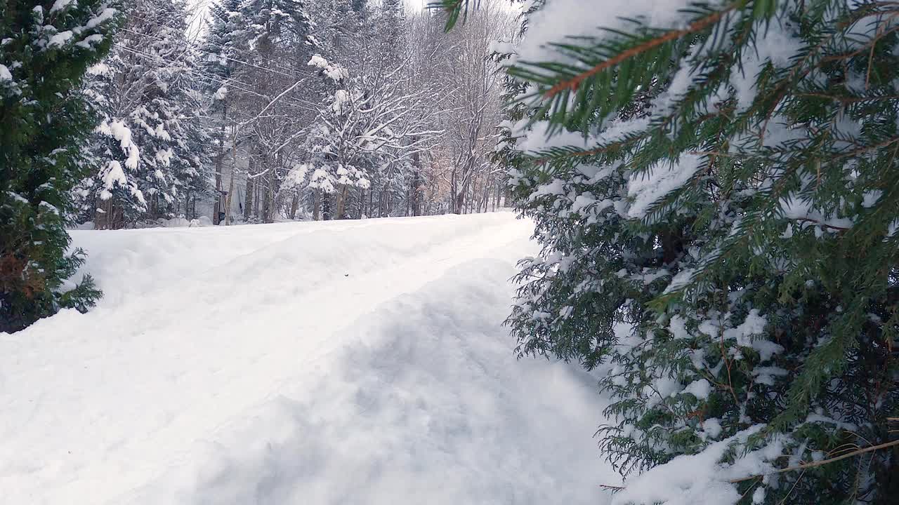 加拿大魁北克省的冬天，爷爷和孙子在户外滑雪橇视频下载