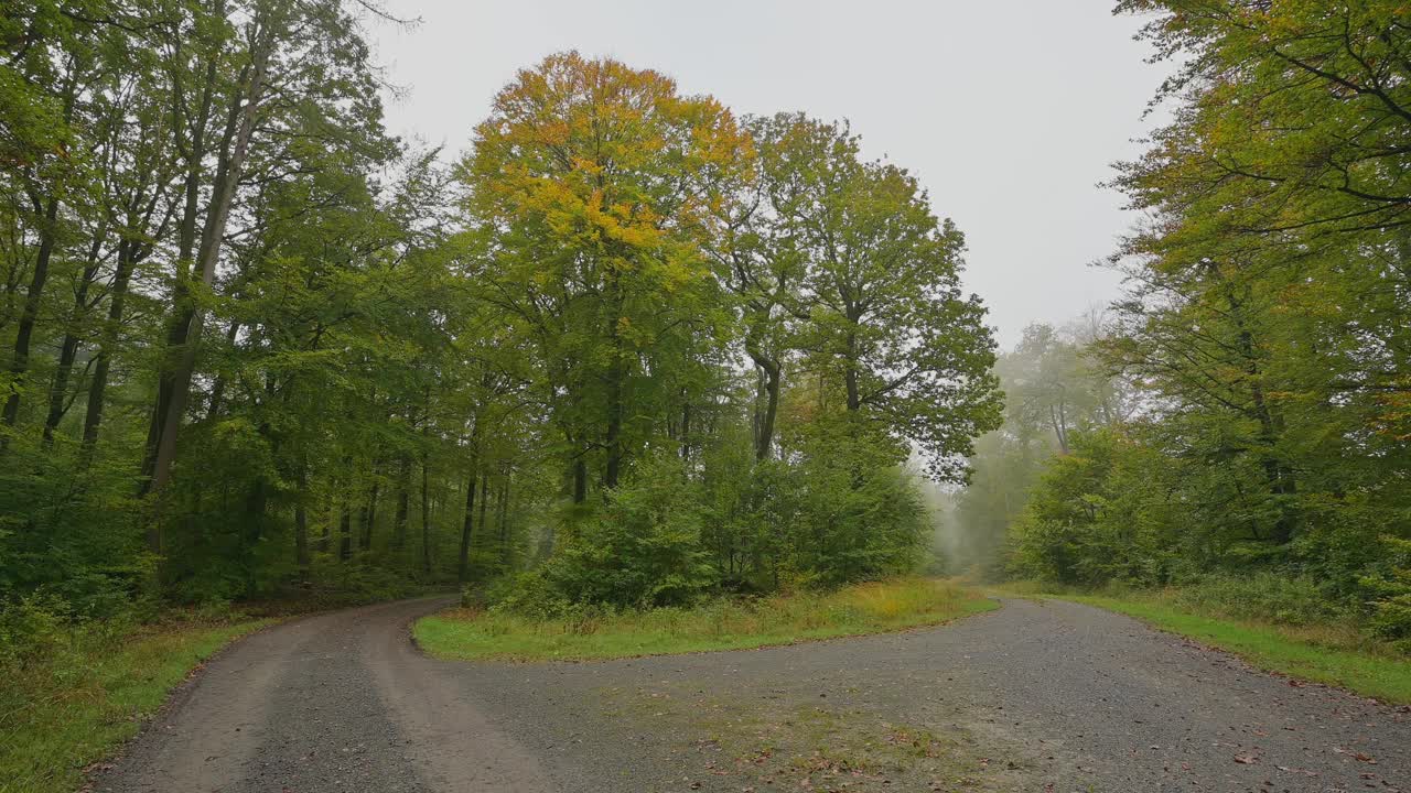 德国巴伐利亚州斯皮萨特森林里的分岔路视频下载