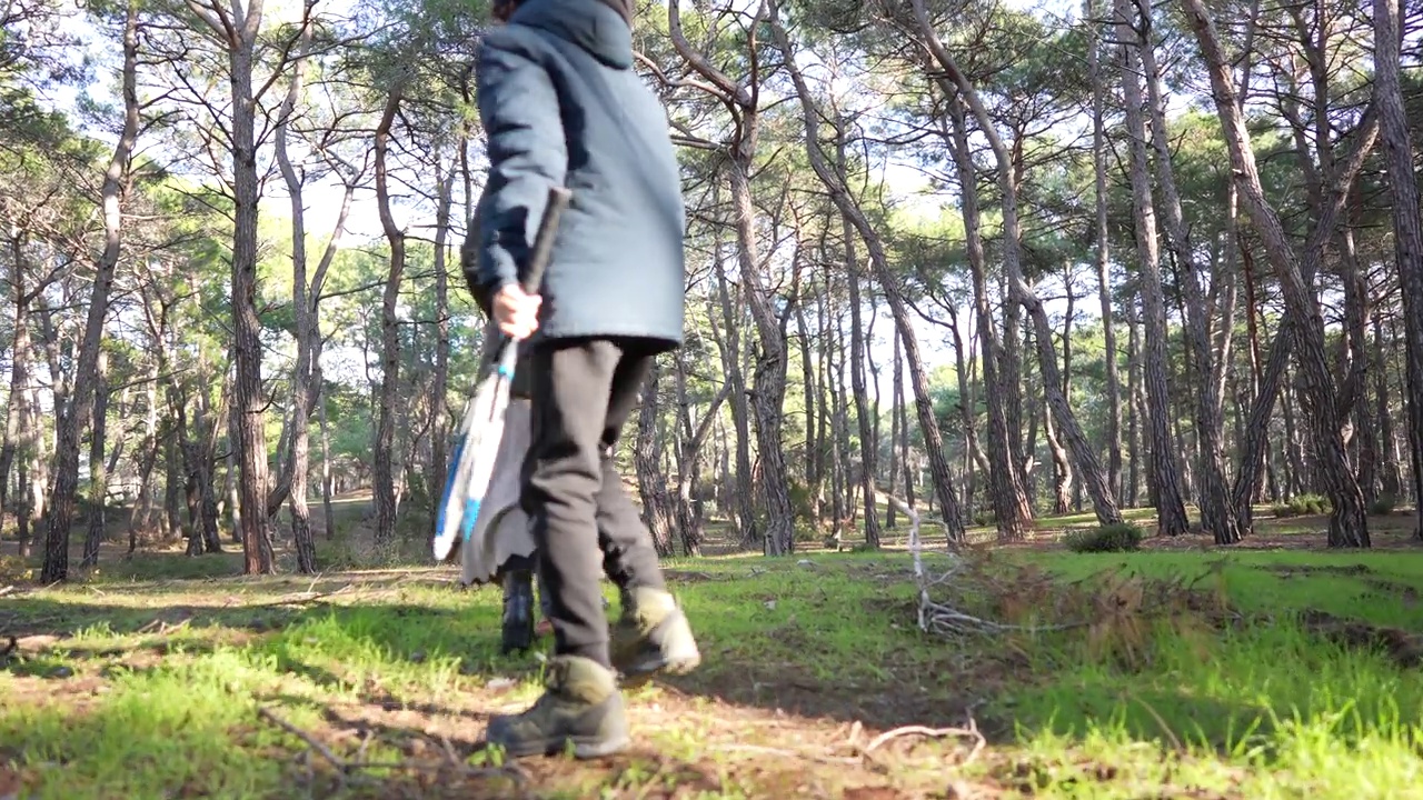 母子带着宠物金毛寻回犬在森林里散步。视频下载