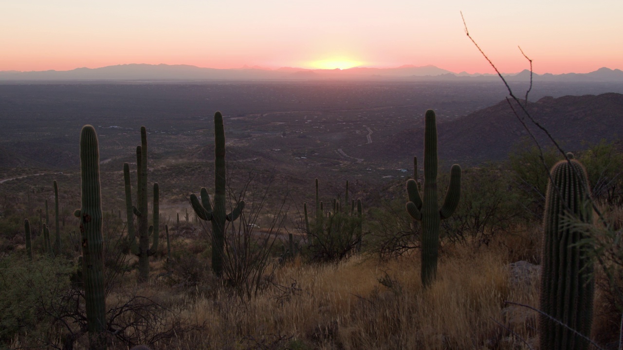 亚利桑那州图森市附近的仙人掌国家公园夕阳西下视频下载