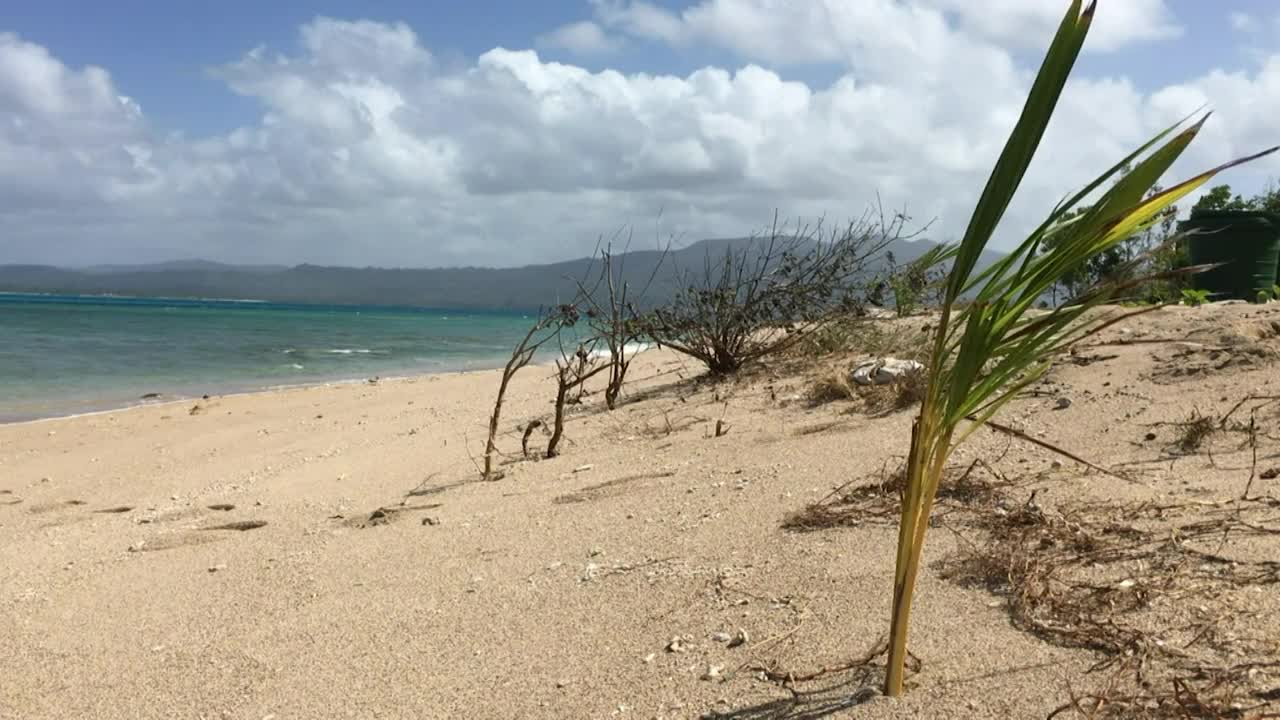 瓦努阿图的恩古纳岛，那里的海岸线正在被涨潮侵蚀;2015视频下载