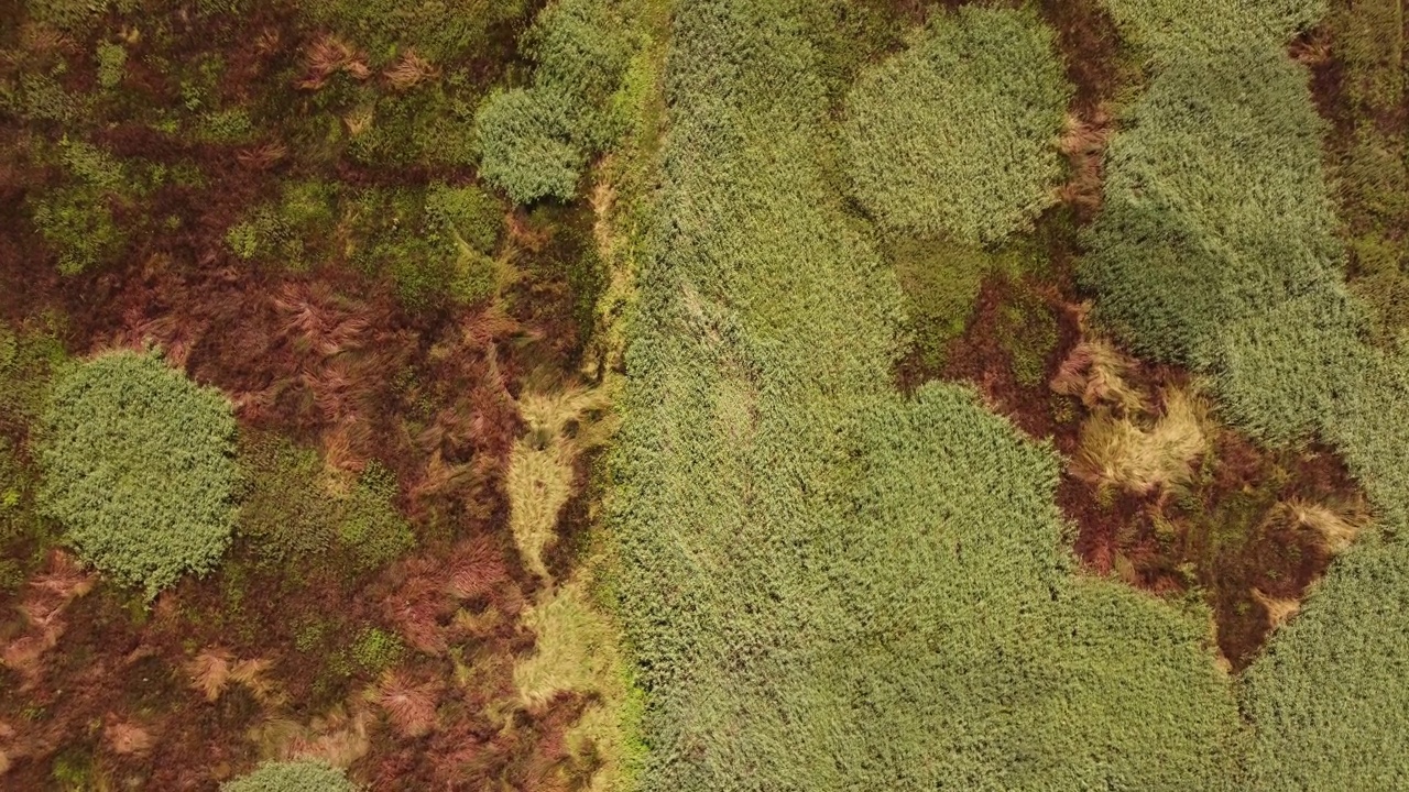 成排的灌溉渠鸟瞰图视频素材