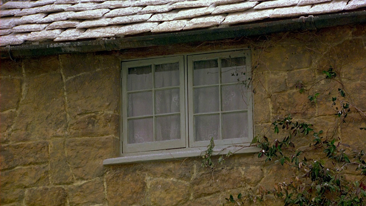 砖房或农舍的中角。双重的窗扉。房子前面长着绿色的常春藤。雪落在木瓦屋顶上。冬天。视频下载