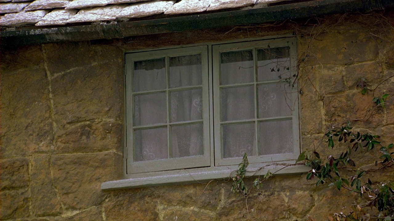 在砖房或农舍上，双开窗的闭合角度。房子前面长着绿色的常春藤。雪落在木瓦屋顶上。冬天。视频下载
