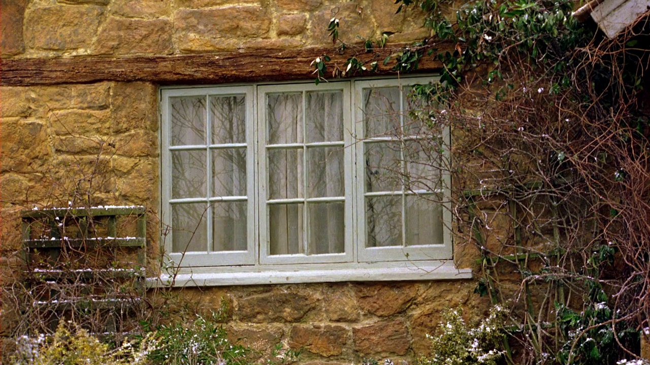 砖房或村舍的近角。绿色的常春藤长在平开窗旁。其他灌木生长在窗下。一些雪。冬天。视频下载