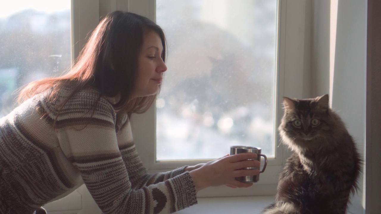 女人邀请猫去喝咖啡。宠物。冬天的夜晚视频下载