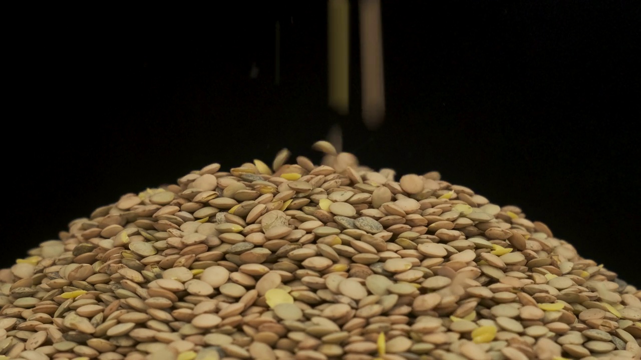 谷物落在一堆小扁豆种子上。旋转谷物堆。孤立的视频素材