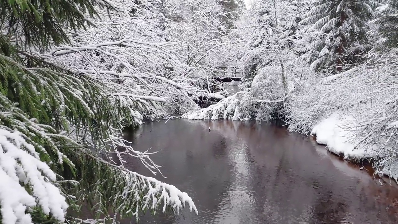 在白雪覆盖的森林中淘金，露出了一条河视频素材