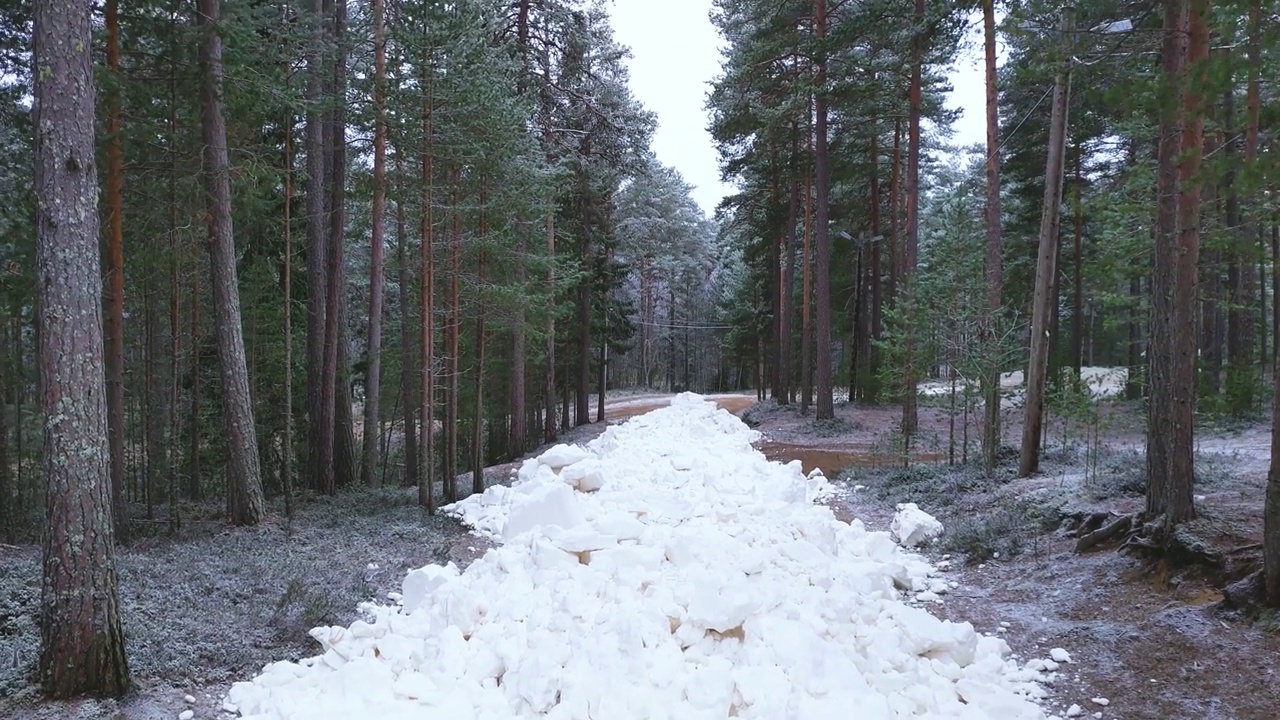 森林中铺满了用于越野滑雪的雪视频素材