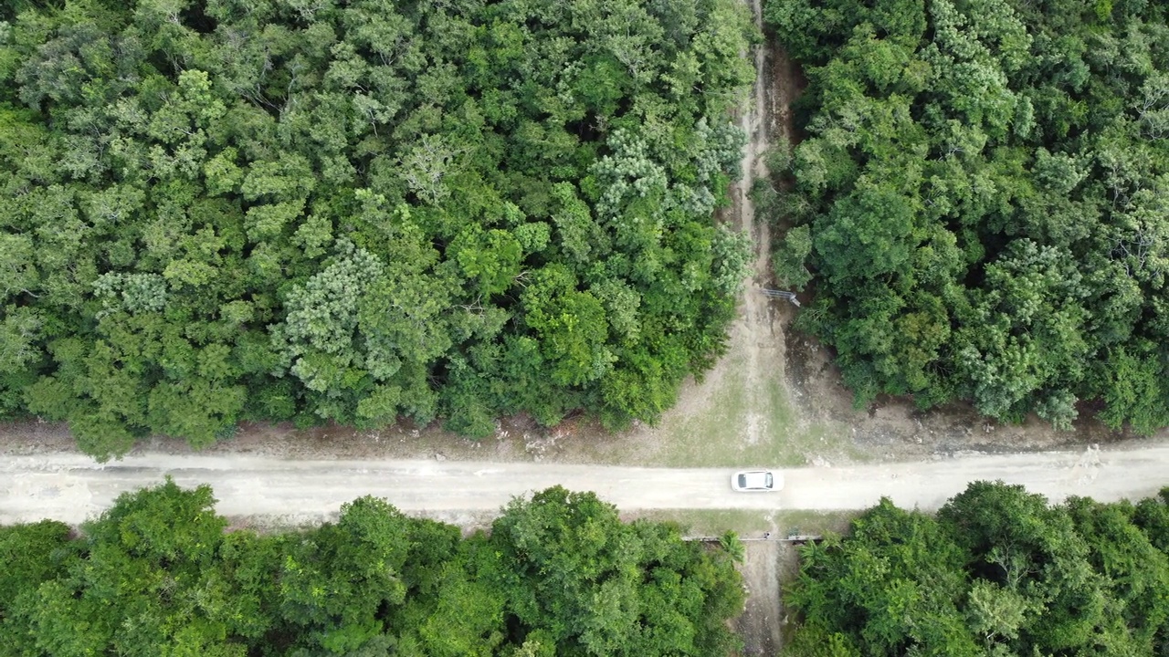 一辆汽车穿过丛林中的一条土路视频下载