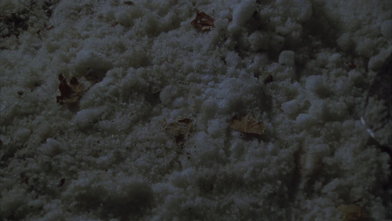 看不见的人用铲子挖进白雪覆盖的地面的特写。可能是有人在挖坟墓。视频素材