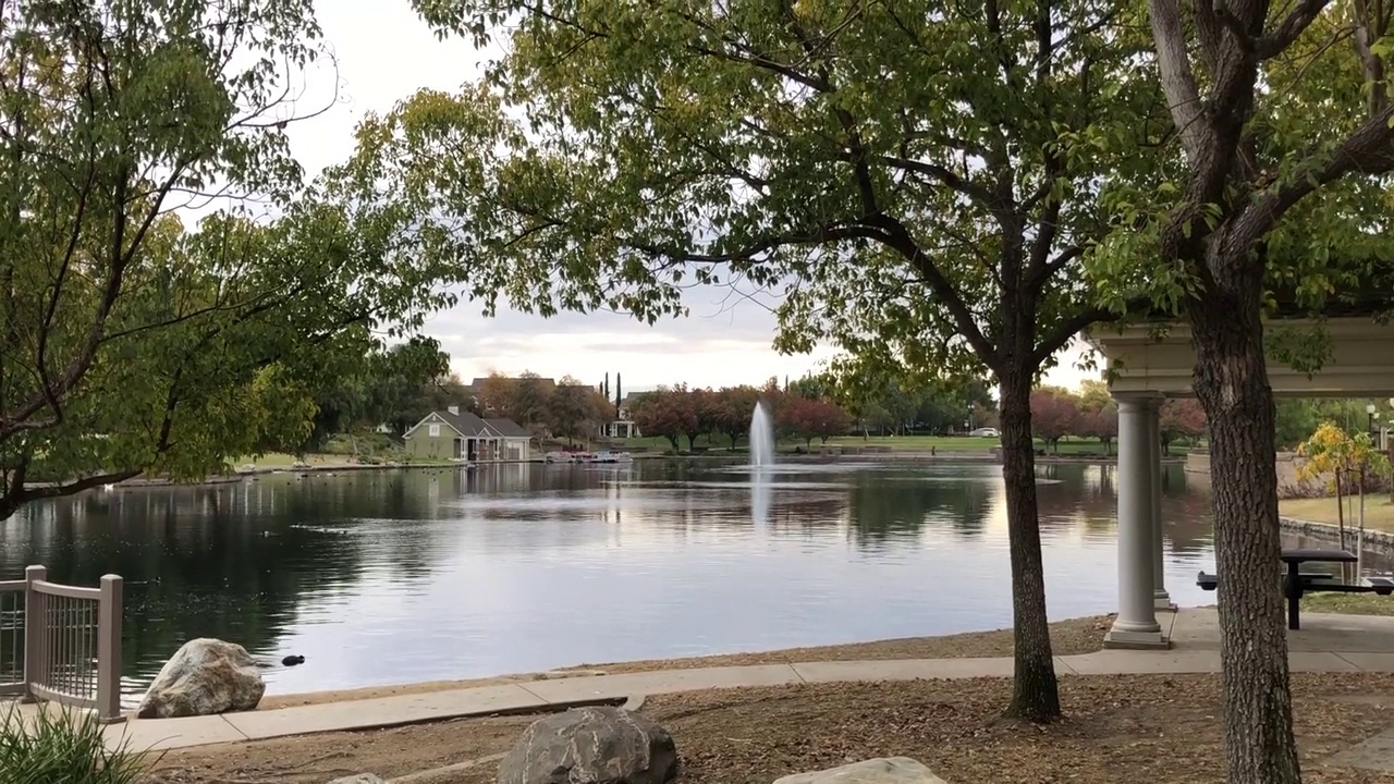 美丽的一天，在公园与宁静的湖景视频素材