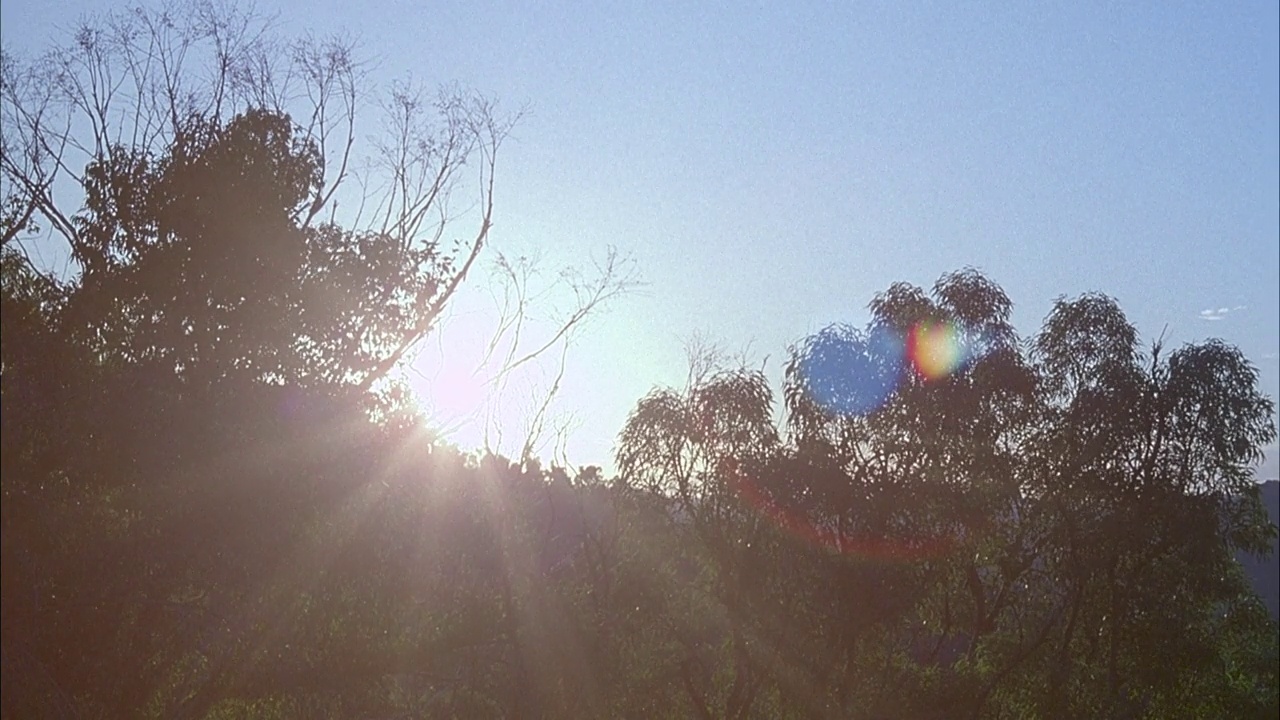 中等角度的阳光照耀在树木和灌木的顶部。看到山脉在背景和太阳光晕。视频下载