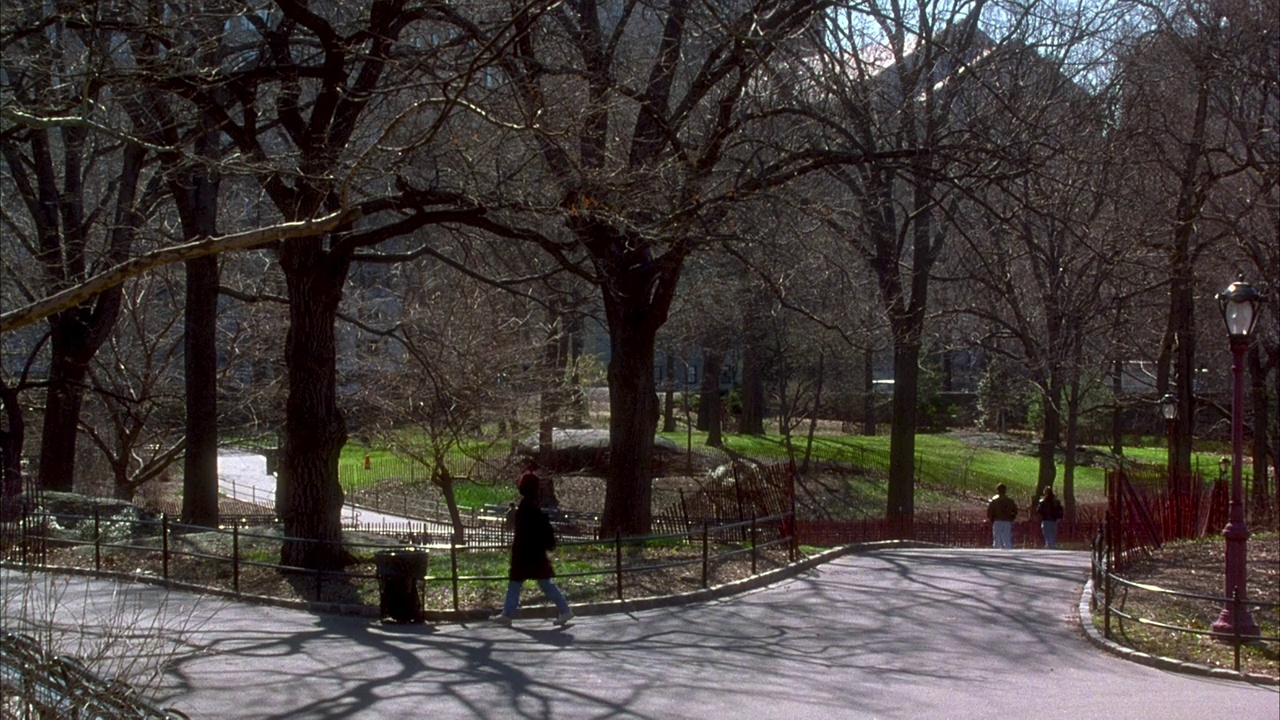 中角公园或中央公园。看到光秃秃的树。见铺好的人行道。看到穿着夹克和牛仔裤的人在走路。看到绿色的草在背景。看到更多的行人在远处。透过树木看到交通和建筑物。视频下载