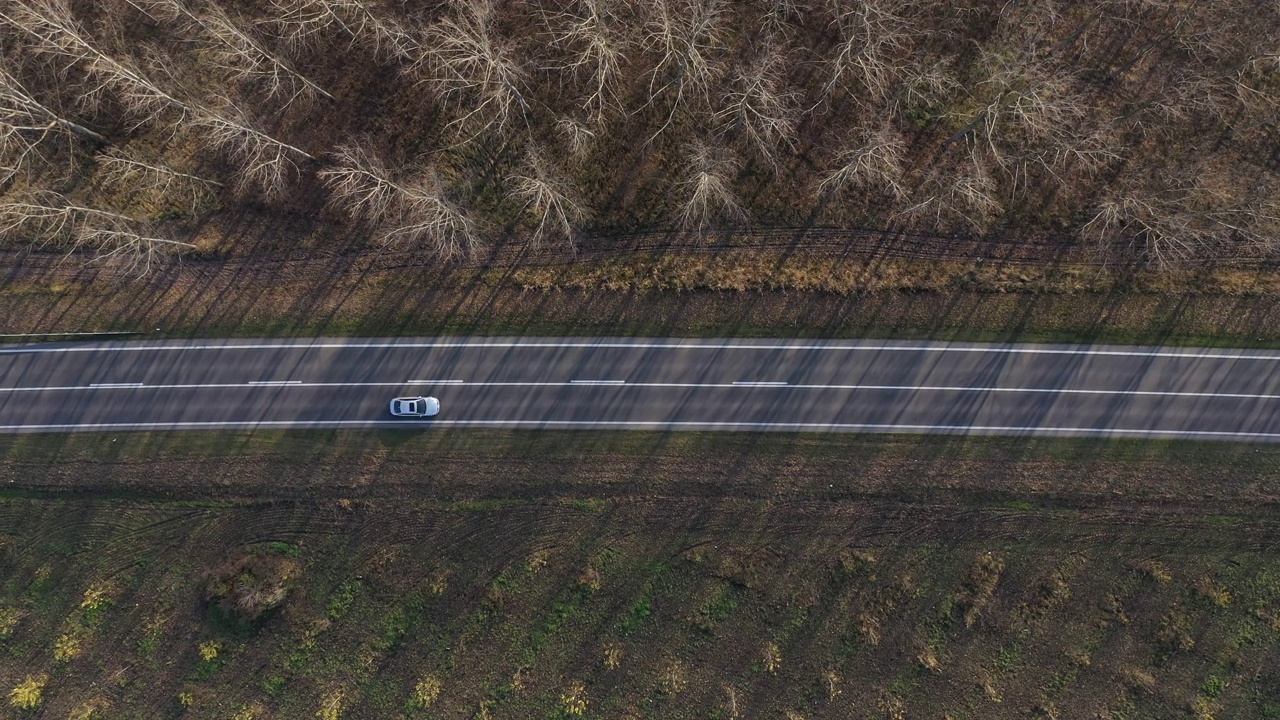 鸟瞰图的汽车在道路上通过落叶林地景观在秋天视频素材
